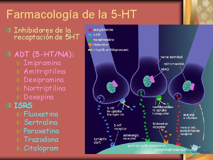 Farmacología de la 5 -HT Inhibidores de la recaptación de 5 HT ADT (5