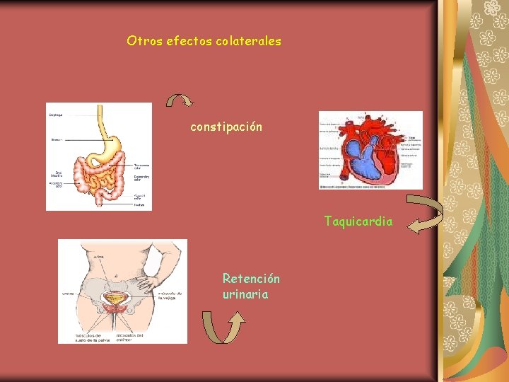 Otros efectos colaterales constipación Taquicardia Retención urinaria 