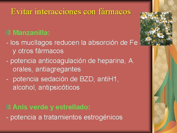 Evitar interacciones con fármacos Manzanilla: - los mucílagos reducen la absorción de Fe y