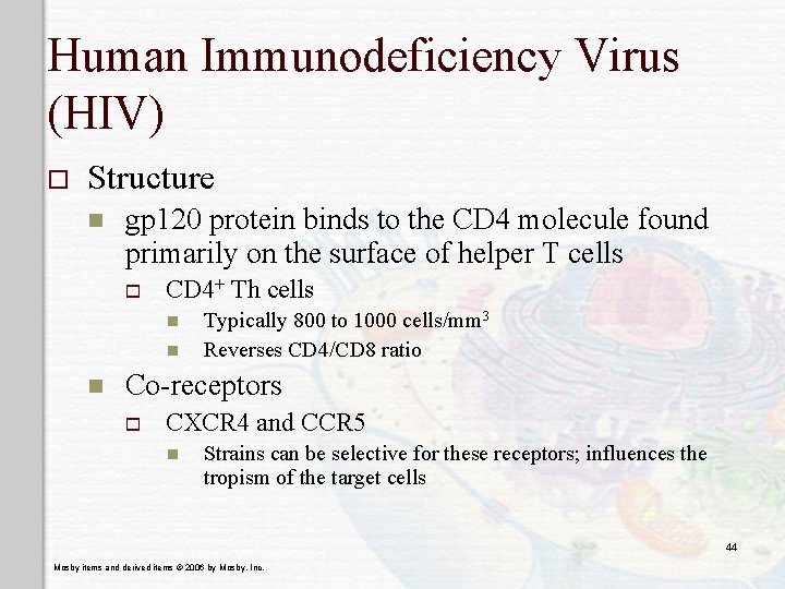 Human Immunodeficiency Virus (HIV) o Structure n gp 120 protein binds to the CD