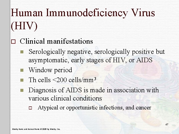 Human Immunodeficiency Virus (HIV) o Clinical manifestations n n Serologically negative, serologically positive but