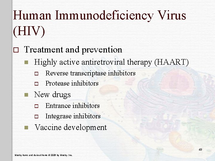 Human Immunodeficiency Virus (HIV) o Treatment and prevention n Highly active antiretroviral therapy (HAART)