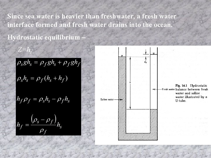 Since sea water is heavier than freshwater, a fresh water interface formed and fresh