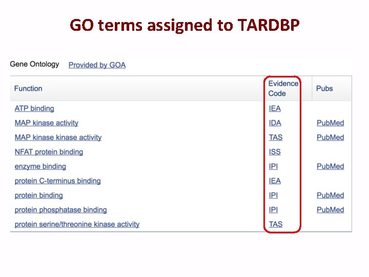 GO terms assigned to TARDBP 