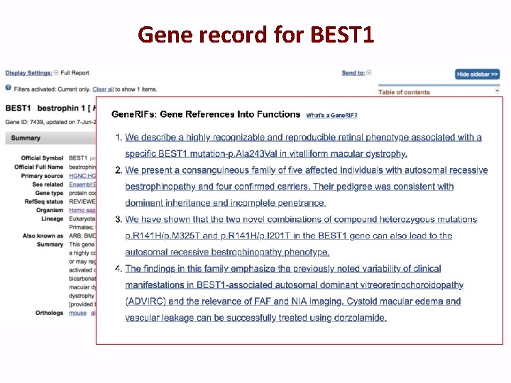 Gene record for BEST 1 