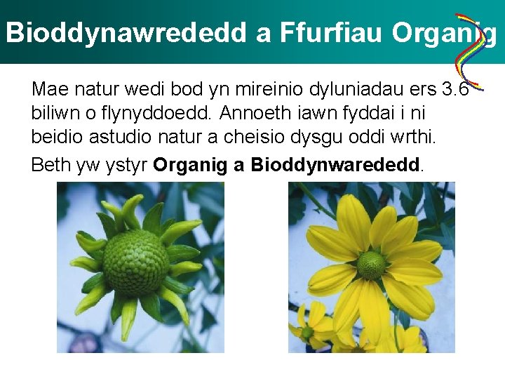 Bioddynawrededd a Ffurfiau Organig Mae natur wedi bod yn mireinio dyluniadau ers 3. 6