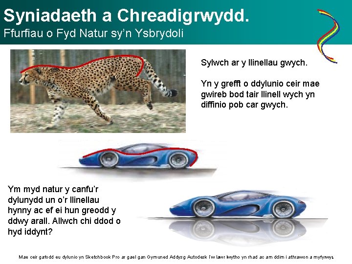 Syniadaeth a Chreadigrwydd. Ffurfiau o Fyd Natur sy’n Ysbrydoli Sylwch ar y llinellau gwych.