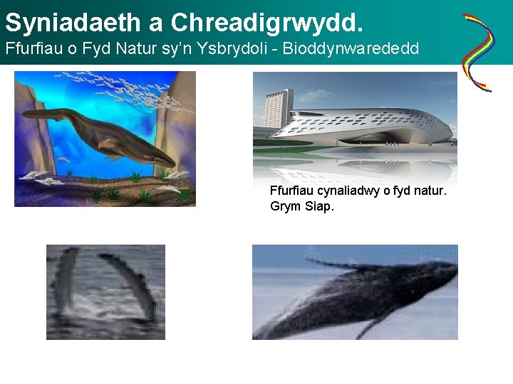 Syniadaeth a Chreadigrwydd. Ffurfiau o Fyd Natur sy’n Ysbrydoli - Bioddynwarededd Ffurfiau cynaliadwy o