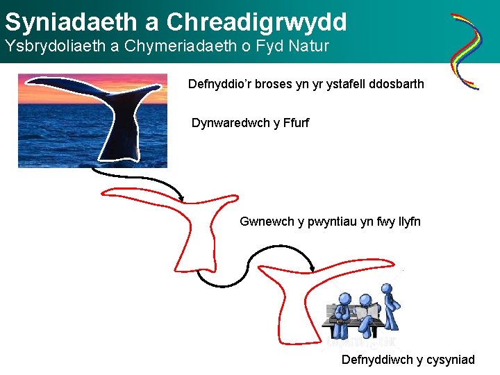 Syniadaeth a Chreadigrwydd Ysbrydoliaeth a Chymeriadaeth o Fyd Natur Defnyddio’r broses yn yr ystafell