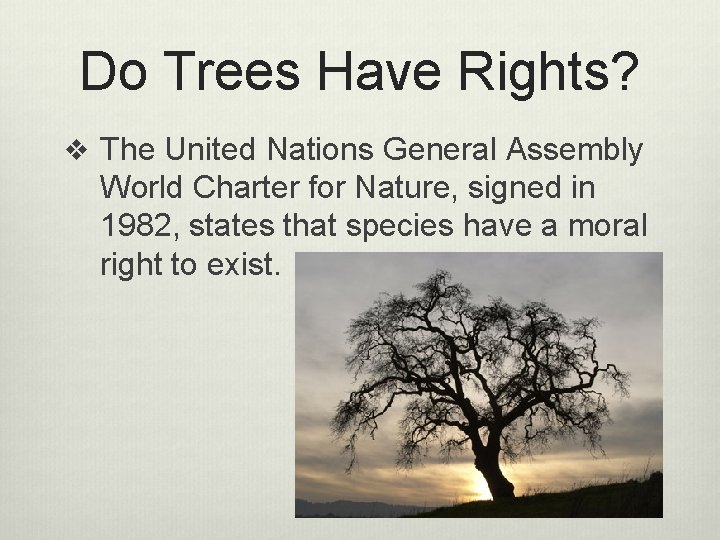 Do Trees Have Rights? v The United Nations General Assembly World Charter for Nature,