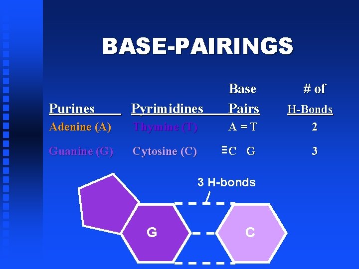 BASE-PAIRINGS Purines Pyrimidines Base Pairs Adenine (A) Thymine (T) A=T Guanine (G) Cytosine (C)