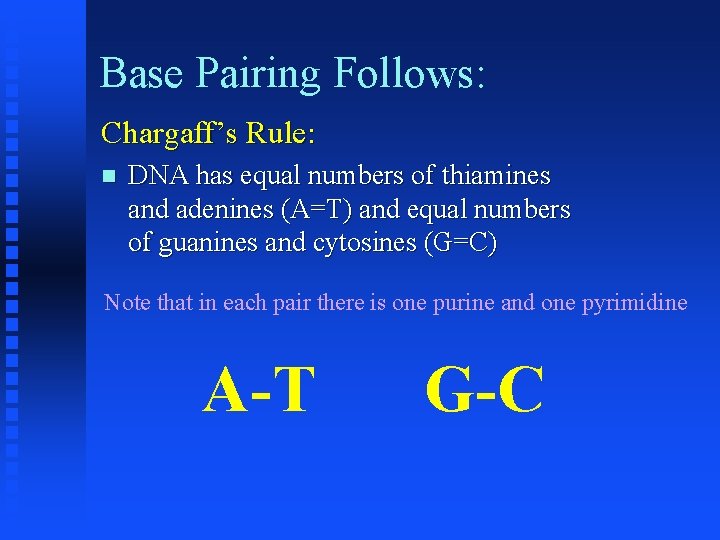 Base Pairing Follows: Chargaff’s Rule: DNA has equal numbers of thiamines and adenines (A=T)