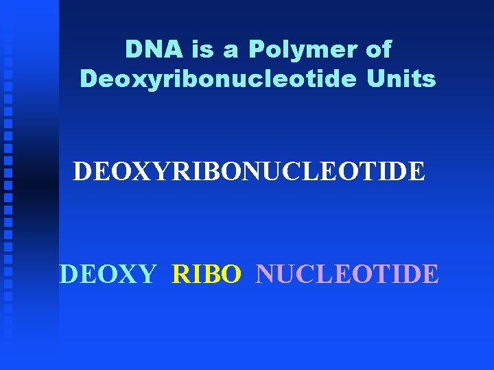 DNA is a Polymer of Deoxyribonucleotide Units DEOXYRIBONUCLEOTIDE DEOXY RIBO NUCLEOTIDE 