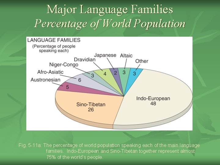 Major Language Families Percentage of World Population Fig. 5 -11 a: The percentage of