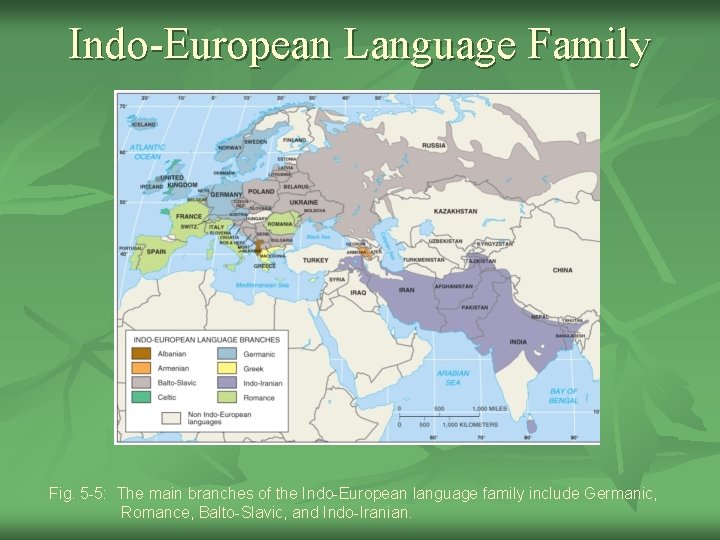 Indo-European Language Family Fig. 5 -5: The main branches of the Indo-European language family