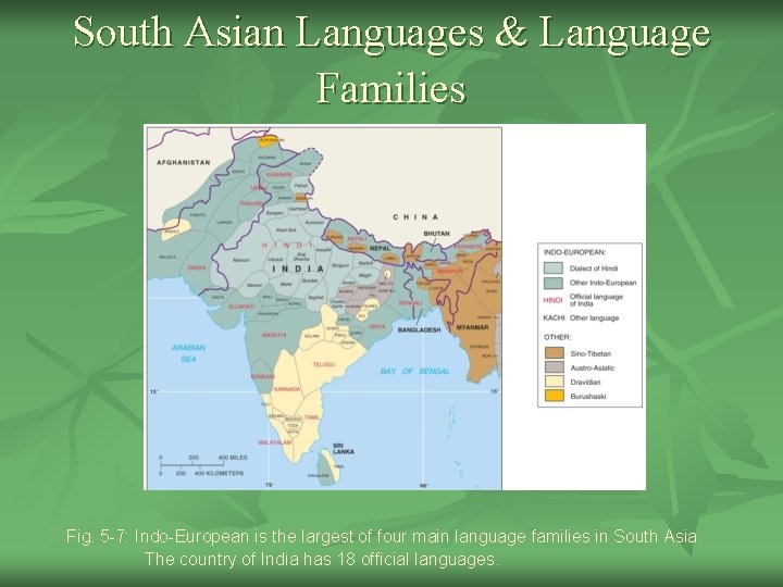 South Asian Languages & Language Families Fig. 5 -7: Indo-European is the largest of