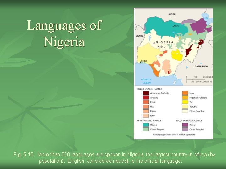 Languages of Nigeria Fig. 5 -15: More than 500 languages are spoken in Nigeria,