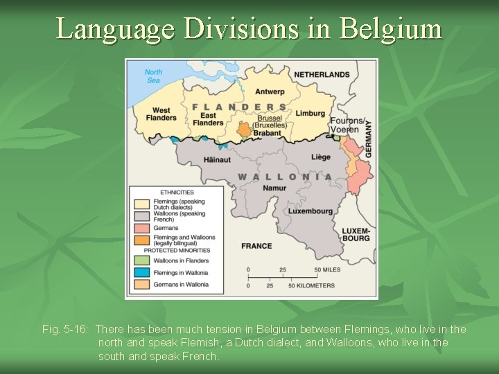 Language Divisions in Belgium Fig. 5 -16: There has been much tension in Belgium