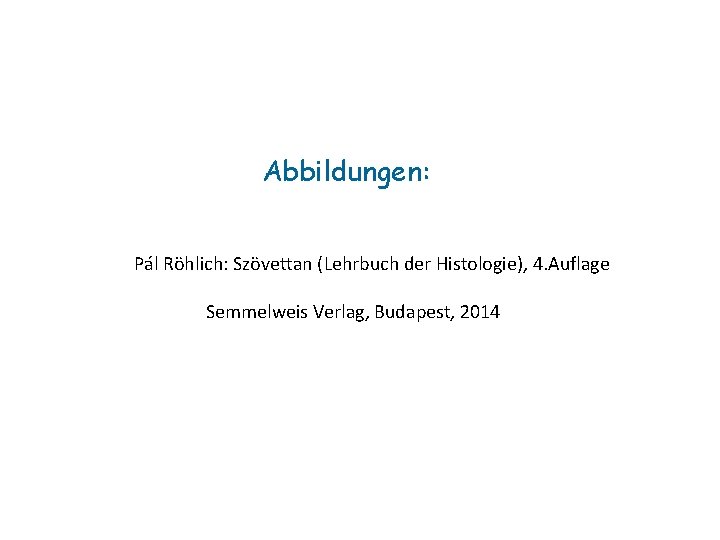 Abbildungen: Pál Röhlich: Szövettan (Lehrbuch der Histologie), 4. Auflage Semmelweis Verlag, Budapest, 2014 