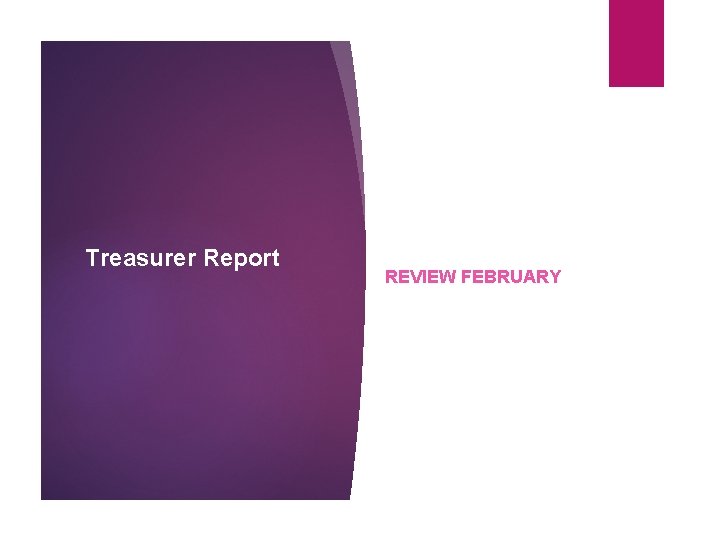 Treasurer Report REVIEW FEBRUARY Treasurer Report REVIEW FEBRUARY