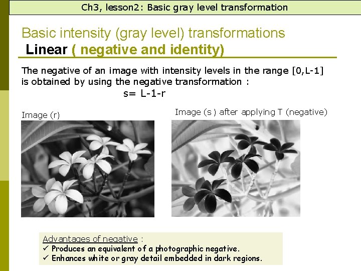 Ch 3, lesson 2: Basic gray level transformation Basic intensity (gray level) transformations Linear