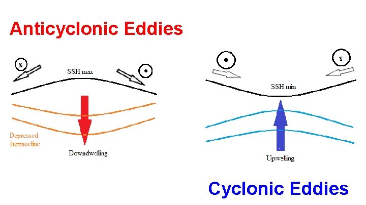 Anticyclonic Eddies Cyclonic Eddies 