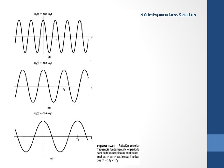 Señales Exponenciales y Senoidales 