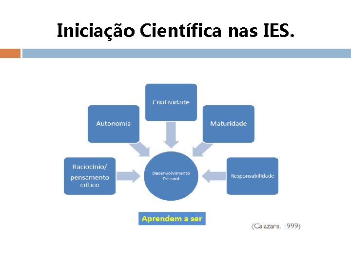 Iniciação Científica nas IES. 