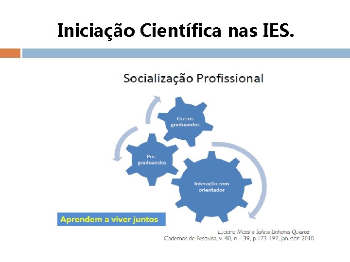 Iniciação Científica nas IES. 