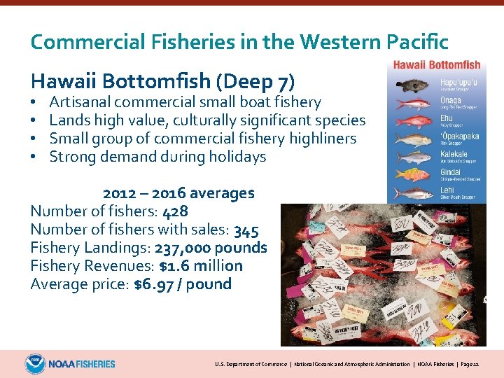 Commercial Fisheries in the Western Pacific Hawaii Bottomfish (Deep 7) • • Artisanal commercial