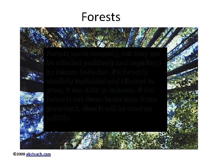 Forests occur naturally, but they can be affected positively and negatively by human behavior.