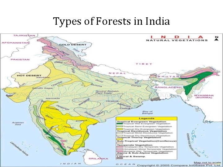 Types of Forests in India 