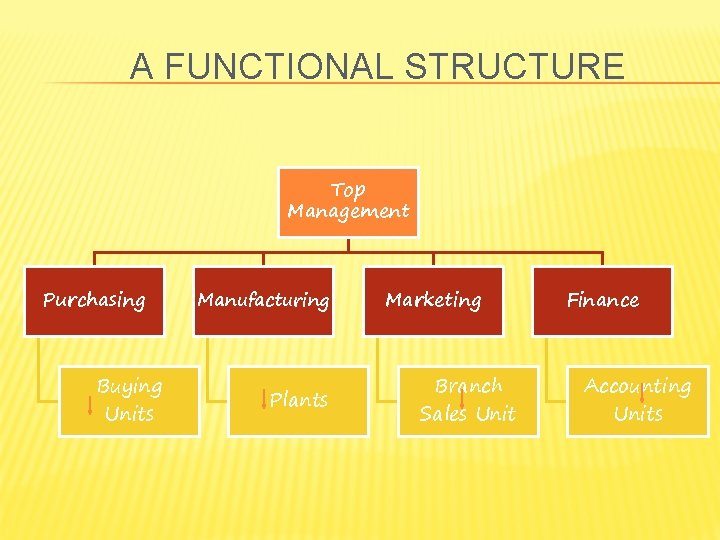 A FUNCTIONAL STRUCTURE Top Management Purchasing Buying Units Manufacturing Plants Marketing Branch Sales Unit