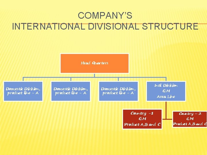 COMPANY’S INTERNATIONAL DIVISIONAL STRUCTURE Head Quarters Domestic Division, product line - A Intl. Division