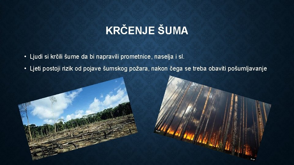 KRČENJE ŠUMA • Ljudi si krčili šume da bi napravili prometnice, naselja i sl.