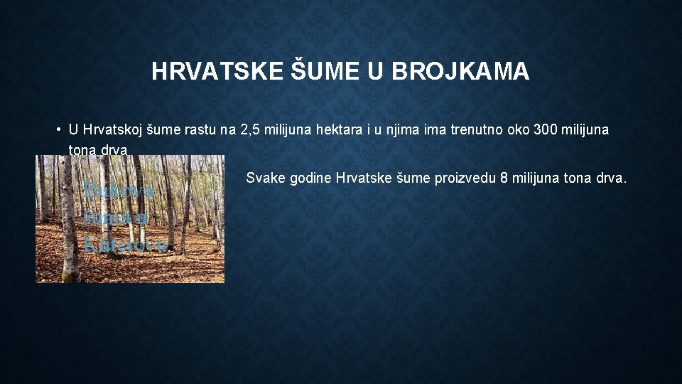 HRVATSKE ŠUME U BROJKAMA • U Hrvatskoj šume rastu na 2, 5 milijuna hektara