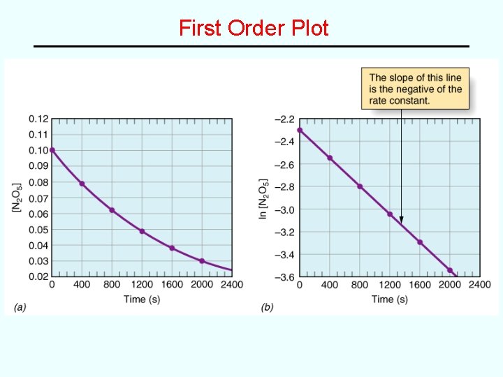 First Order Plot 