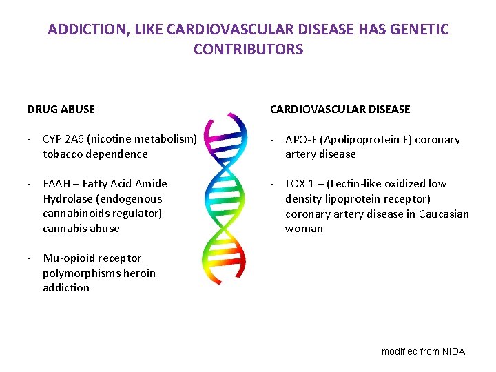 ADDICTION, LIKE CARDIOVASCULAR DISEASE HAS GENETIC CONTRIBUTORS DRUG ABUSE CARDIOVASCULAR DISEASE - CYP 2