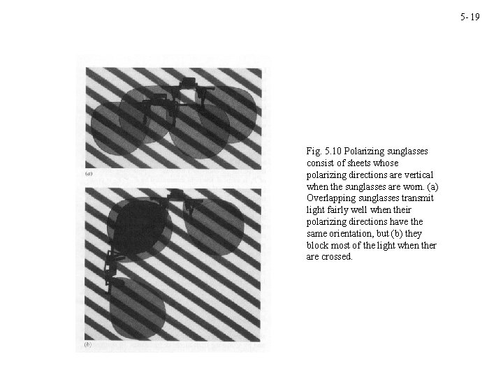 5 - 19 Fig. 5. 10 Polarizing sunglasses consist of sheets whose polarizing directions