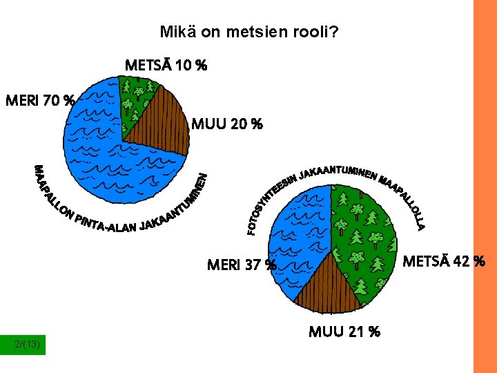 Mikä on metsien rooli? METSÄ 10 % MERI 70 % MUU 20 % METSÄ