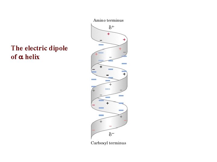 The electric dipole of a helix 