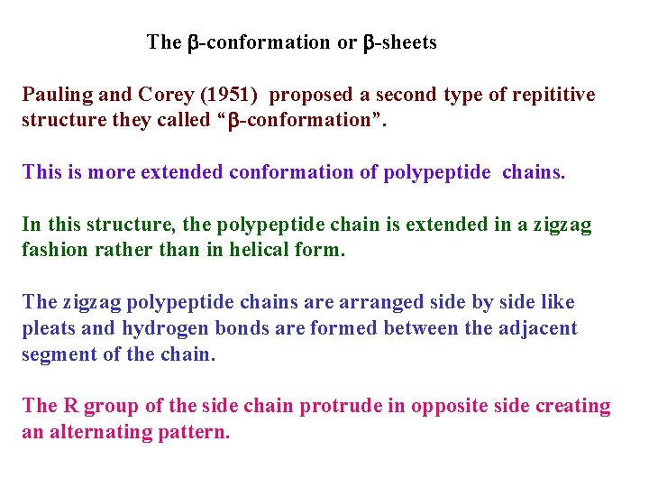 The b-conformation or b-sheets Pauling and Corey (1951) proposed a second type of repititive