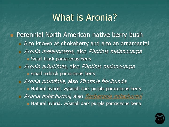 What is Aronia? n Perennial North American native berry bush n n Also known