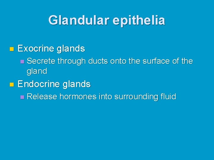 Glandular epithelia n Exocrine glands n n Secrete through ducts onto the surface of