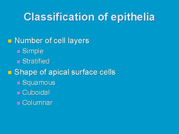 Classification of epithelia n Number of cell layers Simple n Stratified n n Shape