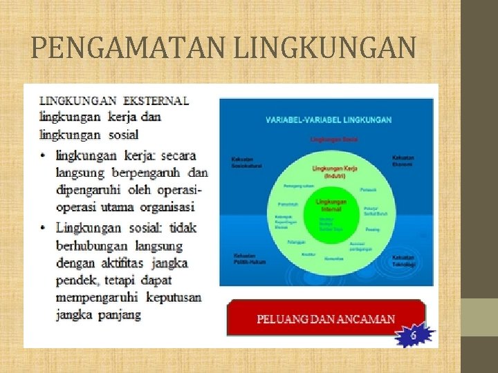 PENGAMATAN LINGKUNGAN 