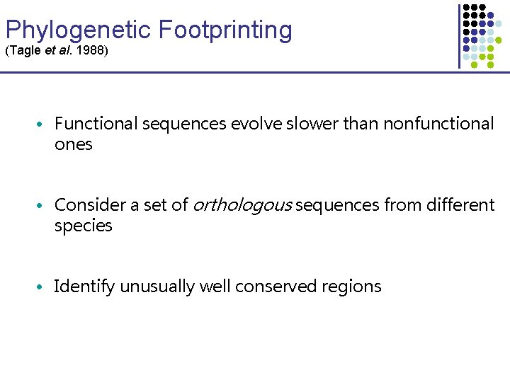 Phylogenetic Footprinting (Tagle et al. 1988) • Functional sequences evolve slower than nonfunctional ones