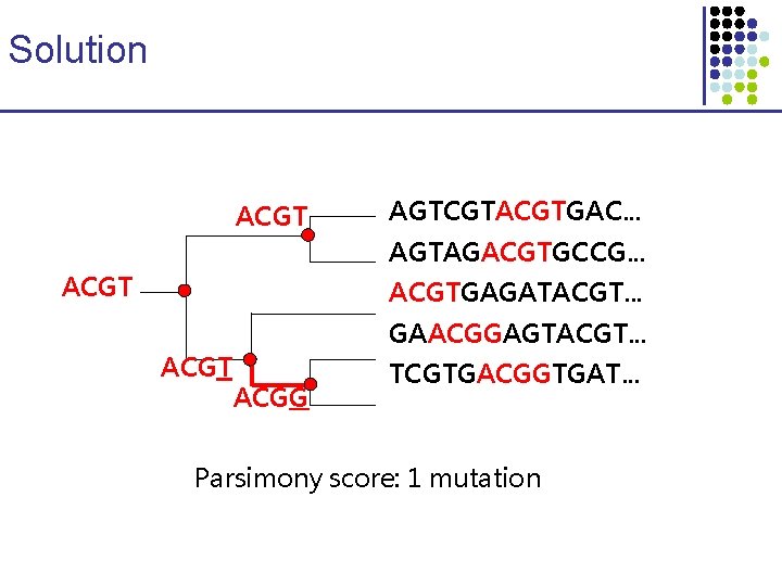 Solution ACGT AGTCGTACGTGAC. . . AGTAGACGTGCCG. . . ACGTGAGATACGT. . . ACGT GAACGGAGTACGT. .