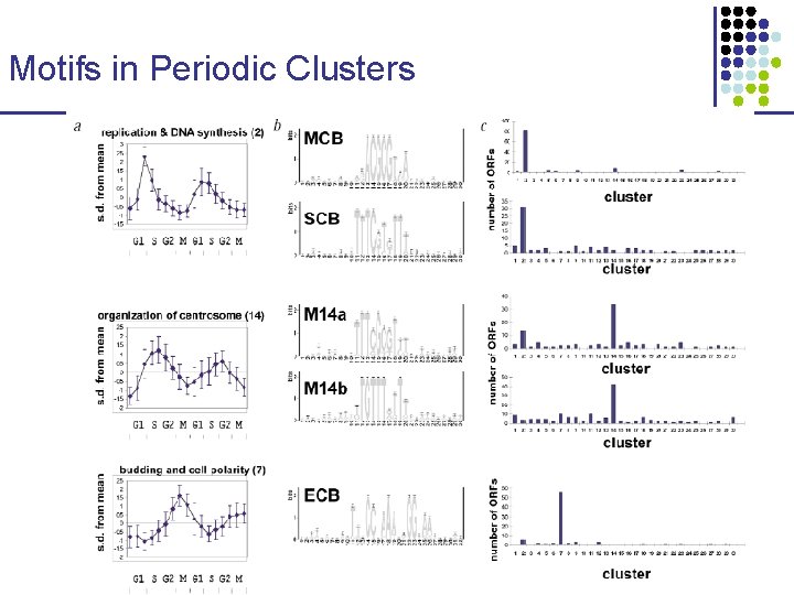 Motifs in Periodic Clusters 