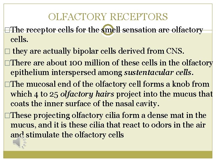 OLFACTORY RECEPTORS �The receptor cells for the smell sensation are olfactory cells. � they